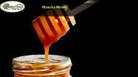 Manuka Honey USA  image 2